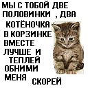 http://cs9458.vkontakte.ru/u46256537/101359931/x_efc5c05f.jpg